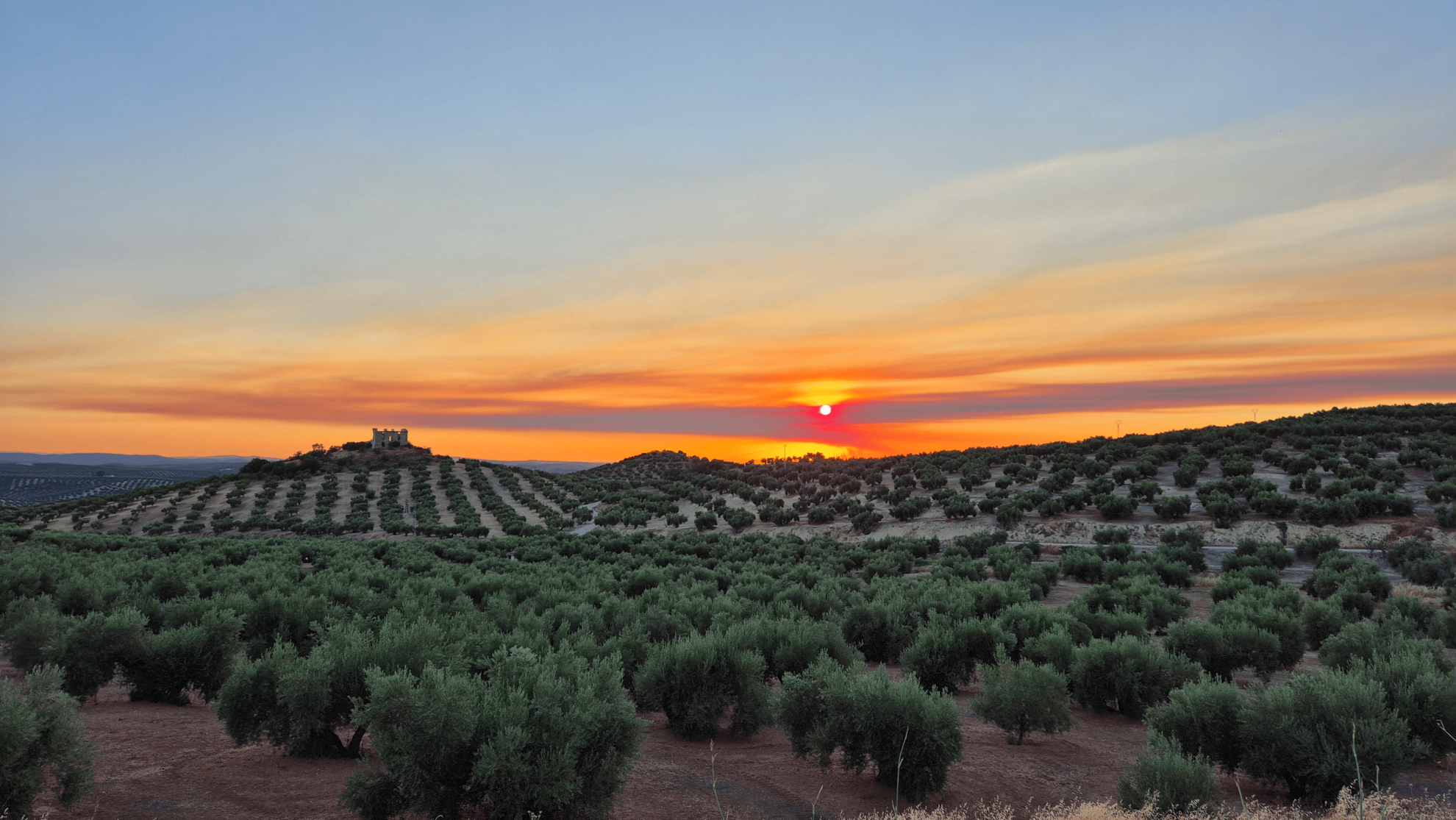 II Congreso Internacional de Orientación a lo Largo de la Vida – Jaén 2026